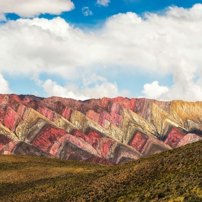 Hornocal