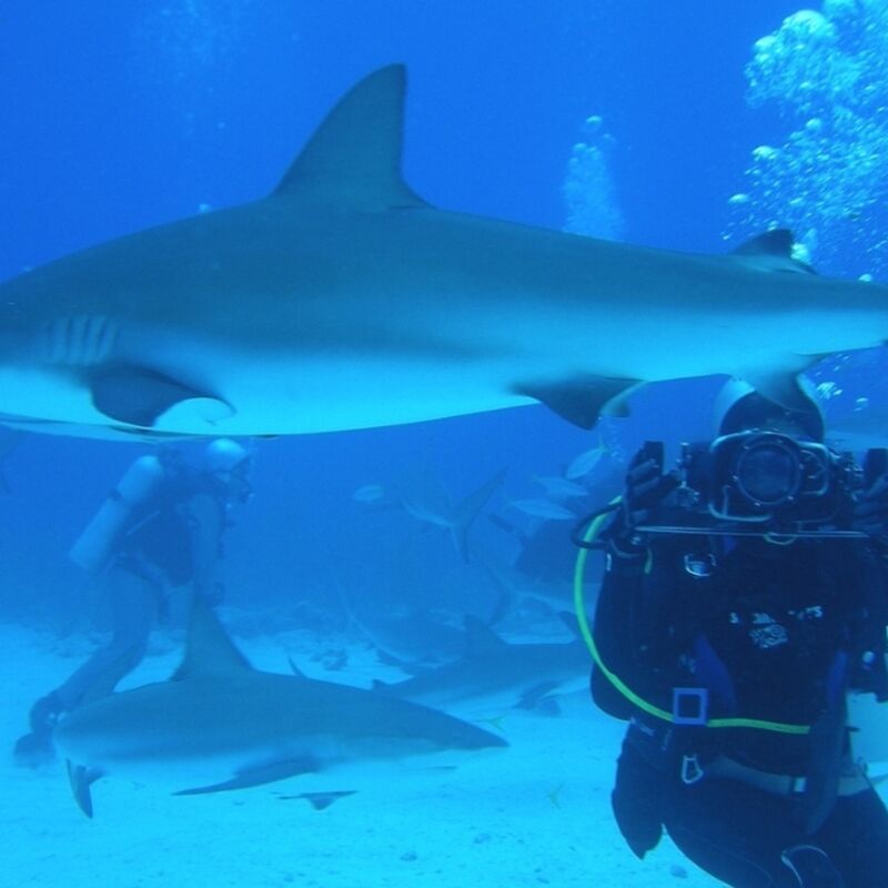 Bahamas