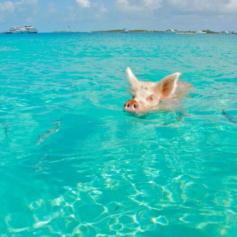 Bahamas - Exuma - Staniel Cay