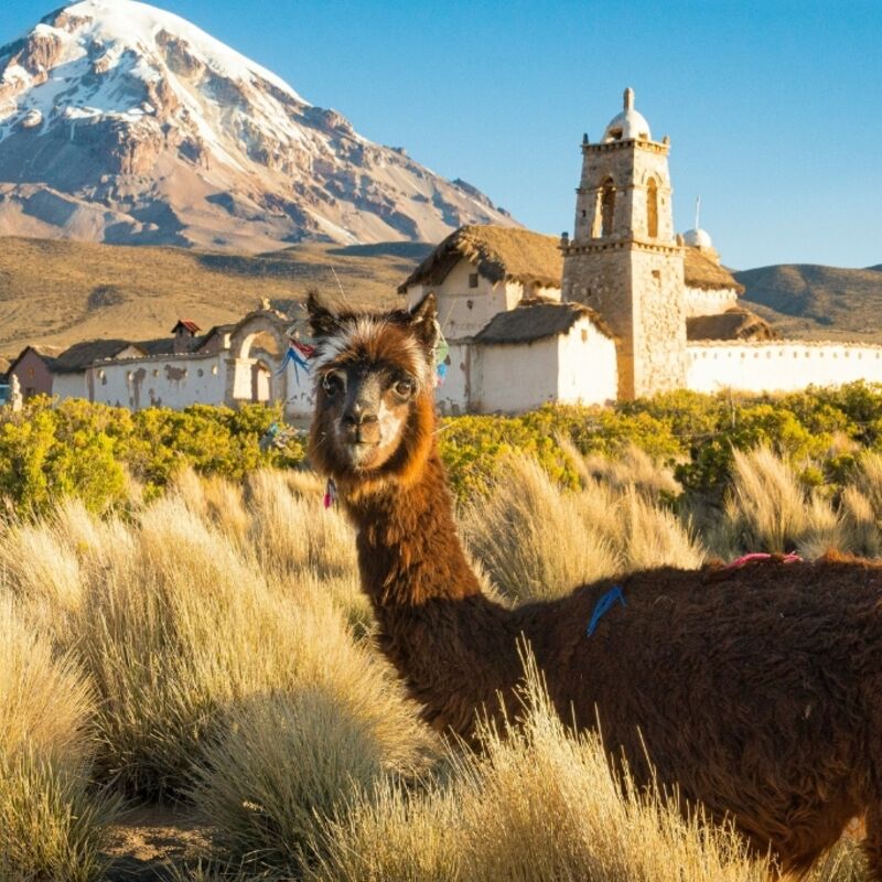 Bolivia
