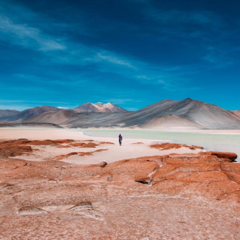 Chili - Atacama Woestijn