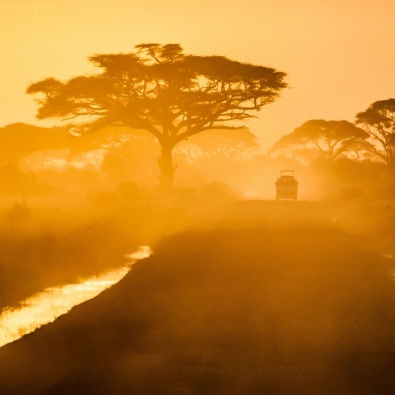 Kenia - Amboseli