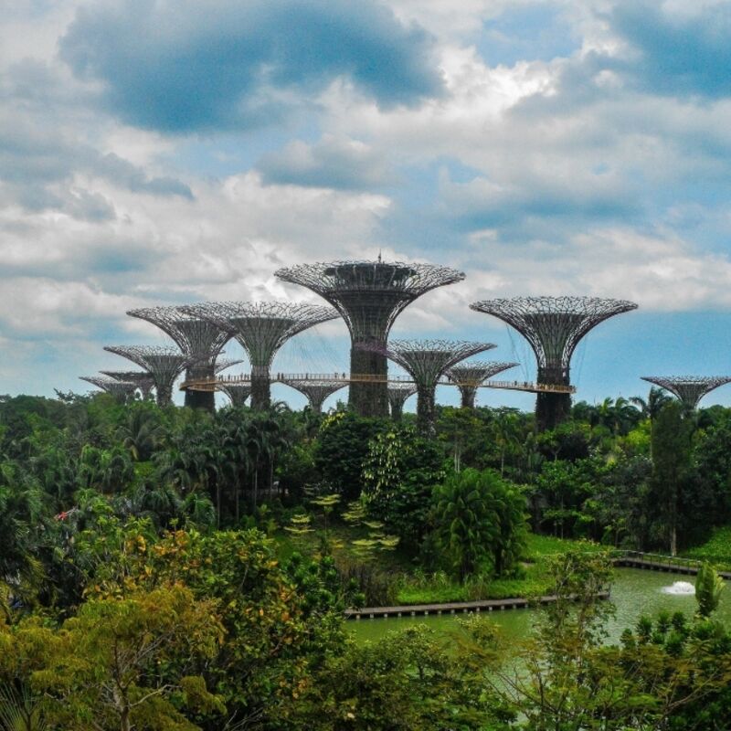 Singapore - Gardens by the Bay