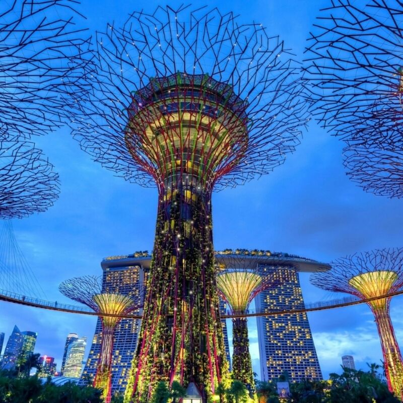 Singapore - Gardens by the Bay