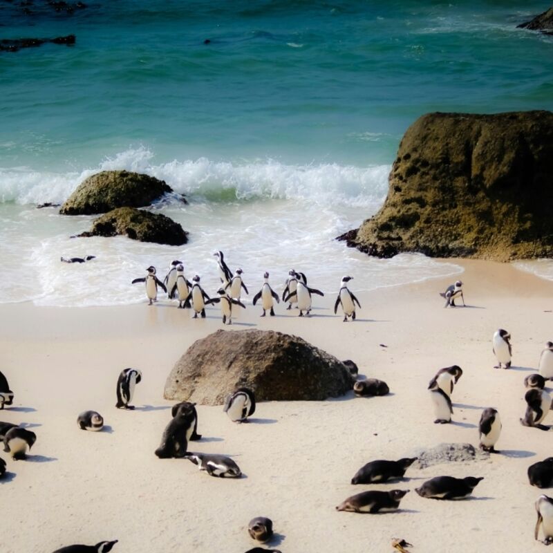 Boulders Beach