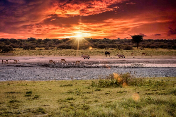 Botswana