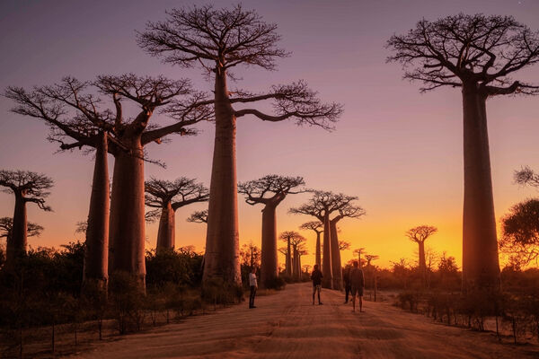 Madagaskar