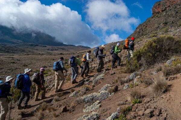 Beklim de Kilimanjaro: Treed in de voetsporen van 'De Rugzak'!