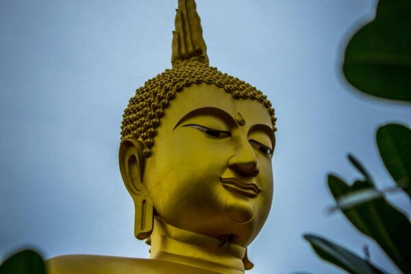 Thailand T-DAC Invoering 1 mei 2025