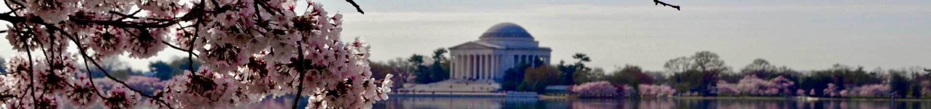 Citytrip Washington D.C.