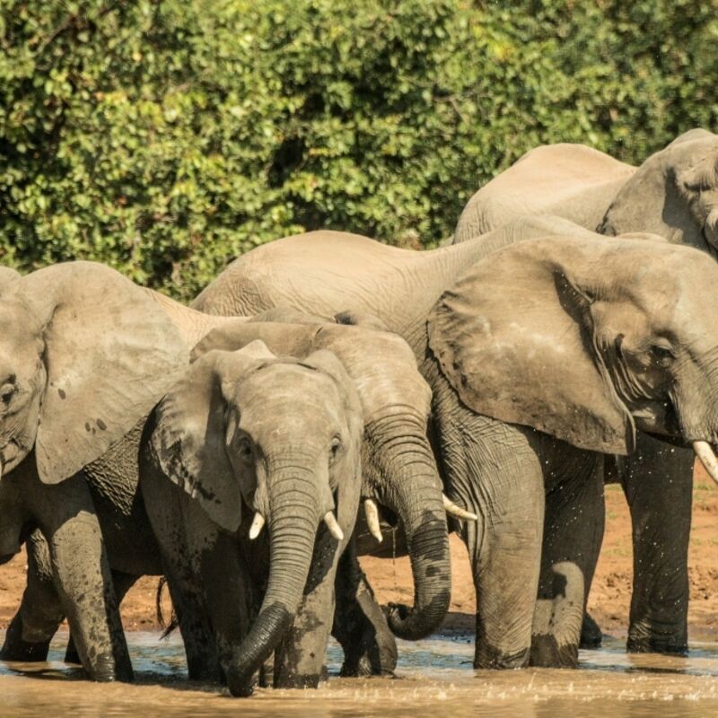 Kruger National Park