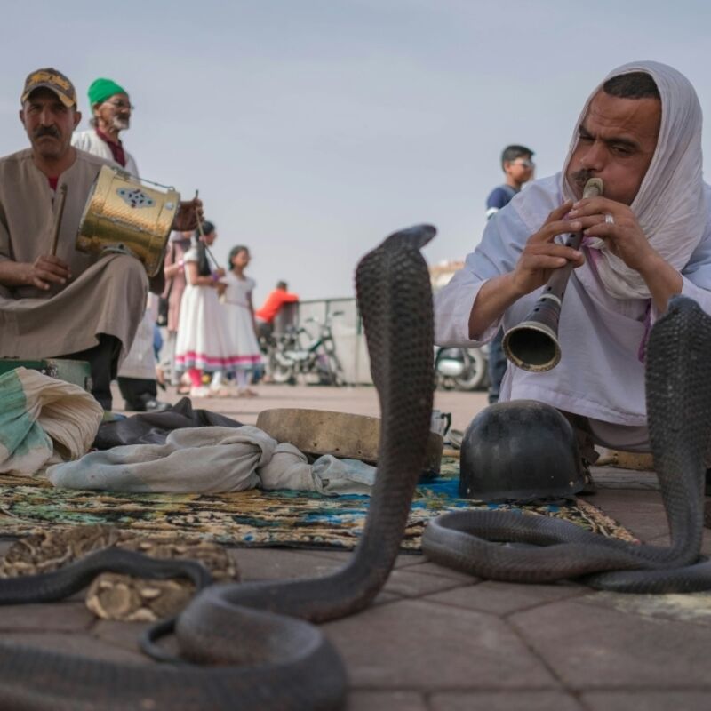 Marrakech