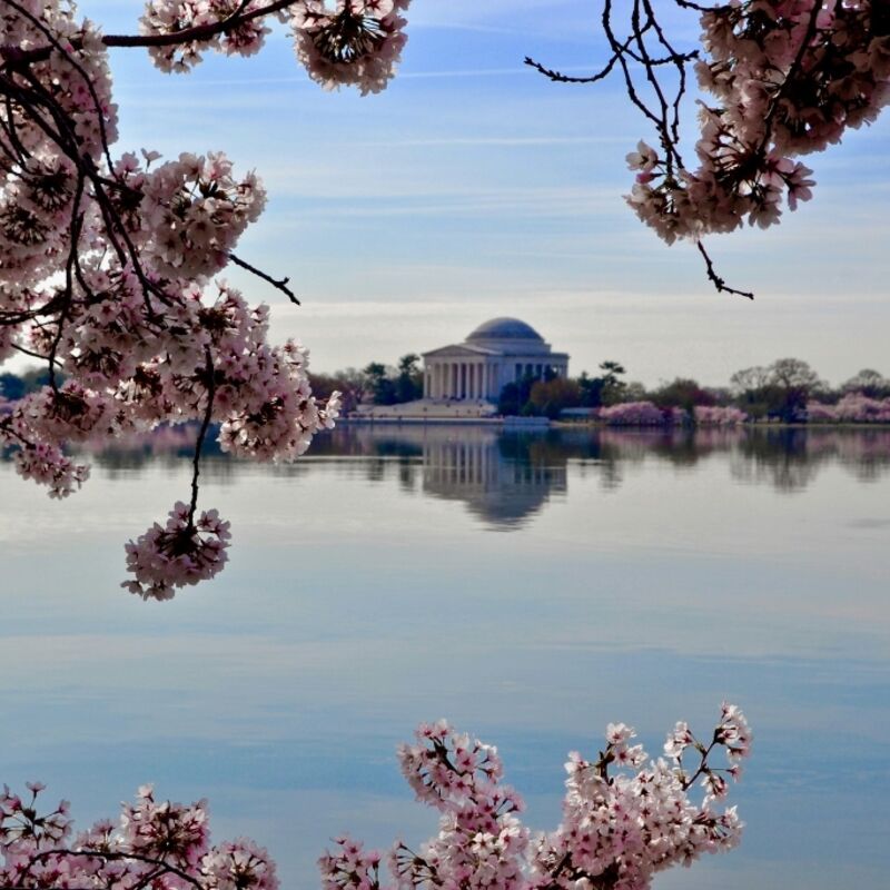 Washington D.C.